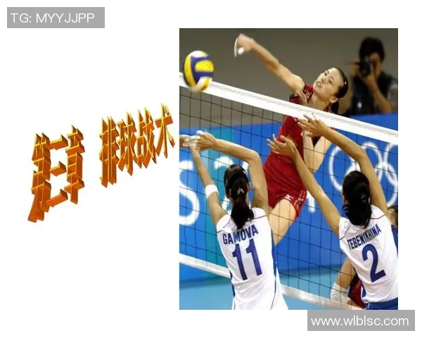 武汉排球队反击体系解析：排球战术的创新与实践探讨