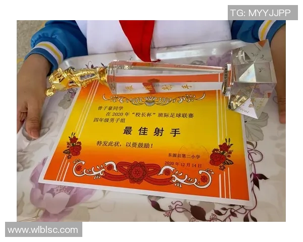 赵静专访:从绿茵场到人生舞台的足球故事与回忆 赵静专访:从绿茵场到人生舞台的足球故事与回忆