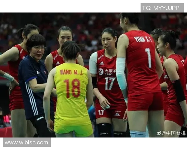 专业解读：北京排球队的节奏打法